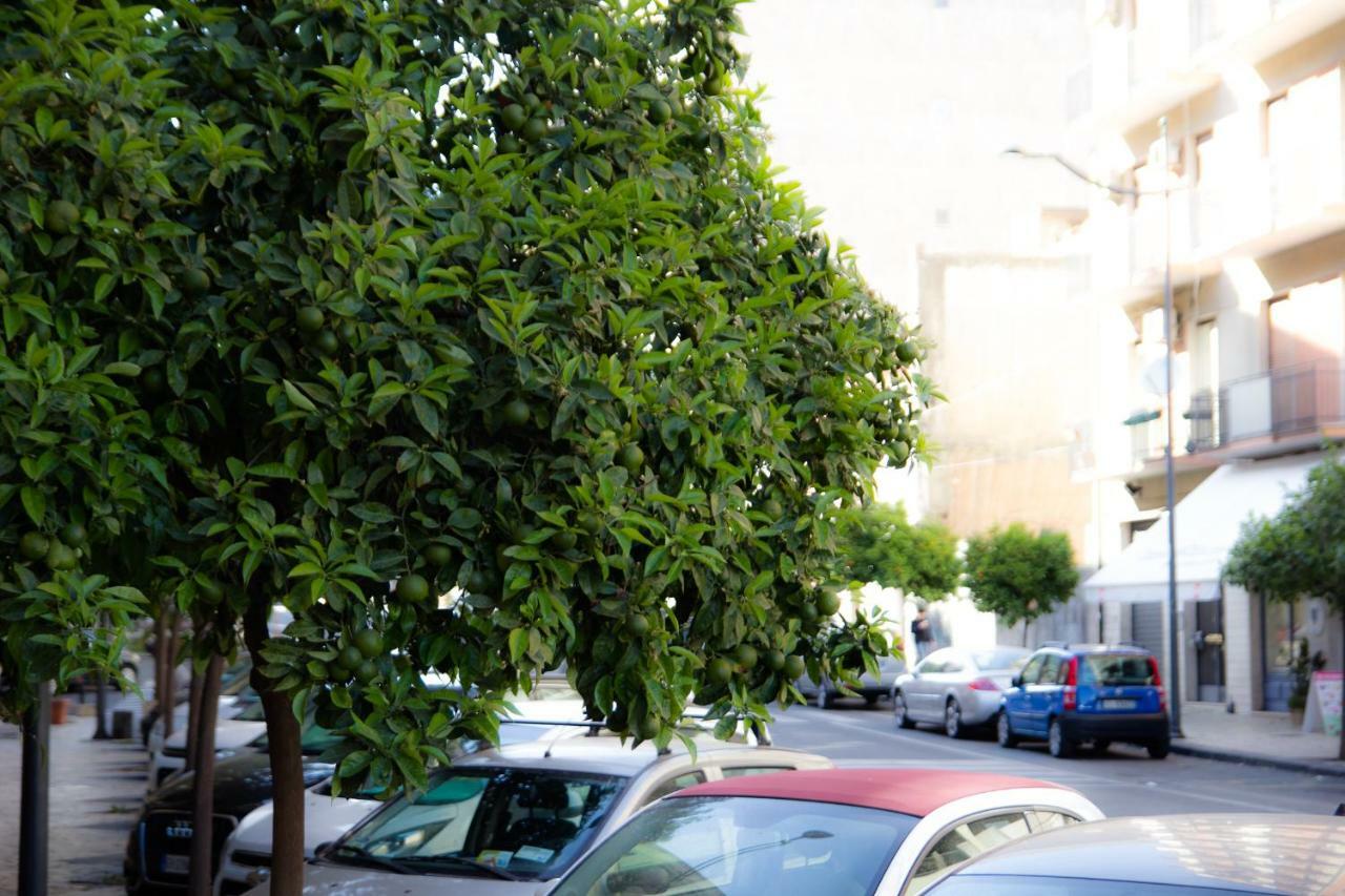 B&B Solea CTA Exterior foto